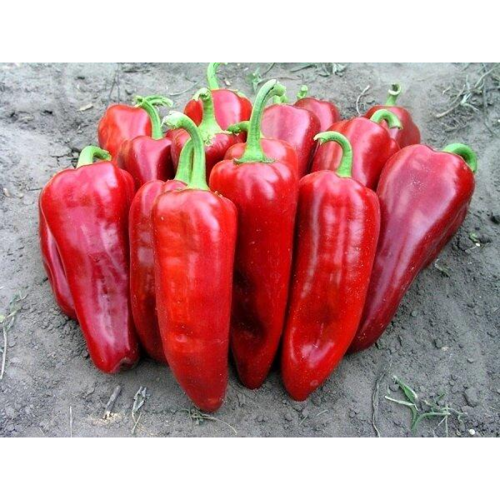 Перець Судар 0,3 г