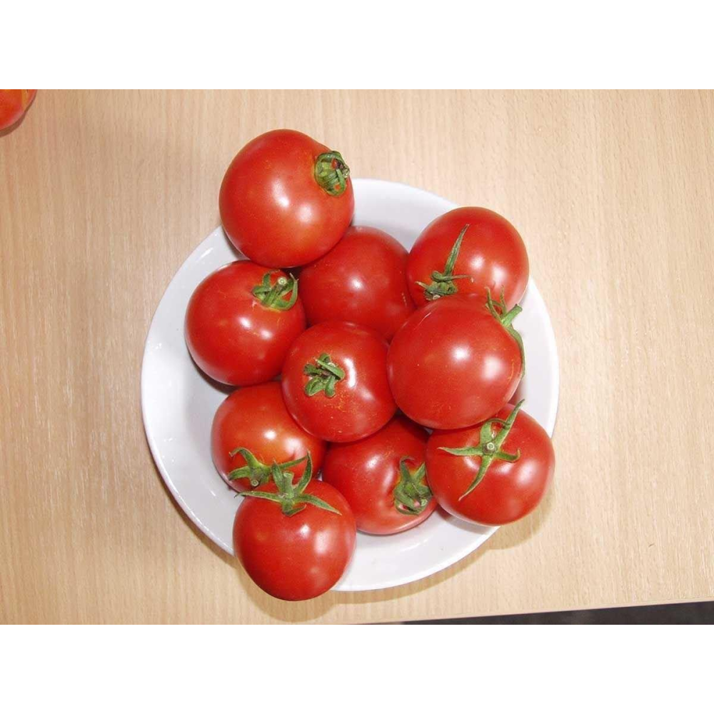 Томат Толстой F1 0,05 г /Bejo Zaden