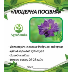 Насіння трави Люцерна (магнічена) багаторічна посівна,1 кілограм урожай 2023 г