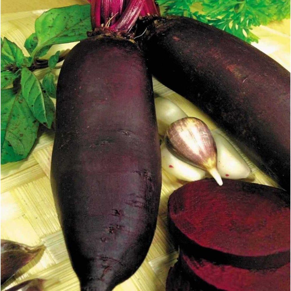 Буряк столова Циліндра 5г / Wing Seed