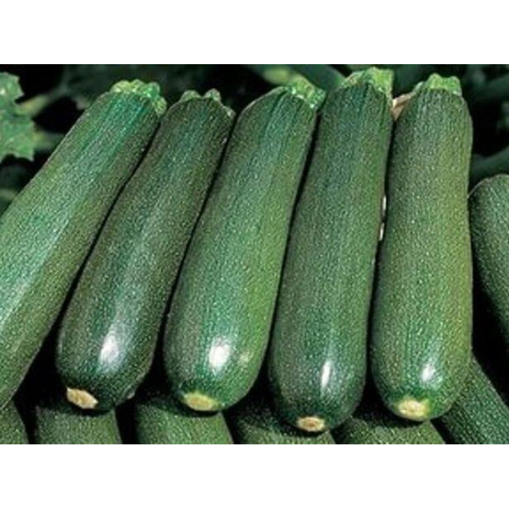 Кабачок Цукеша 20шт