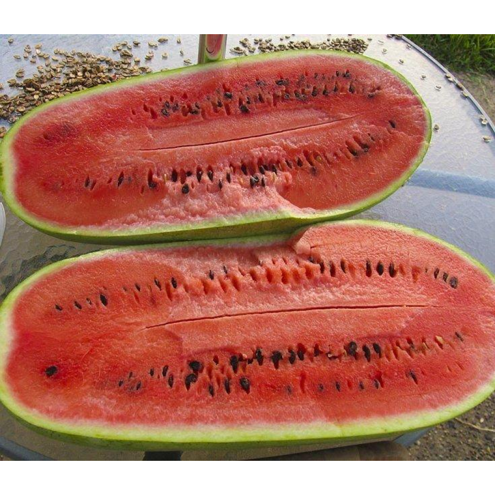 Кавун Чарльстон грей 1г / United Genetics