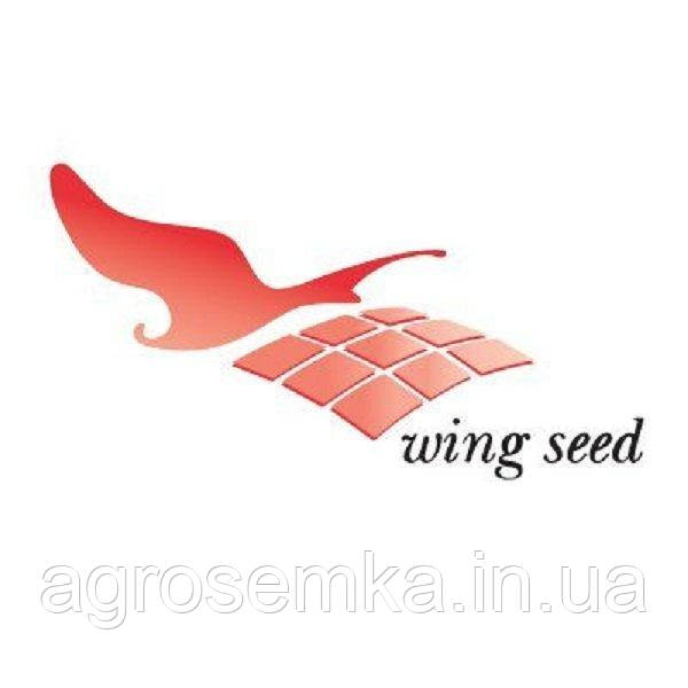 Буряк столова Циліндра 5г / Wing Seed