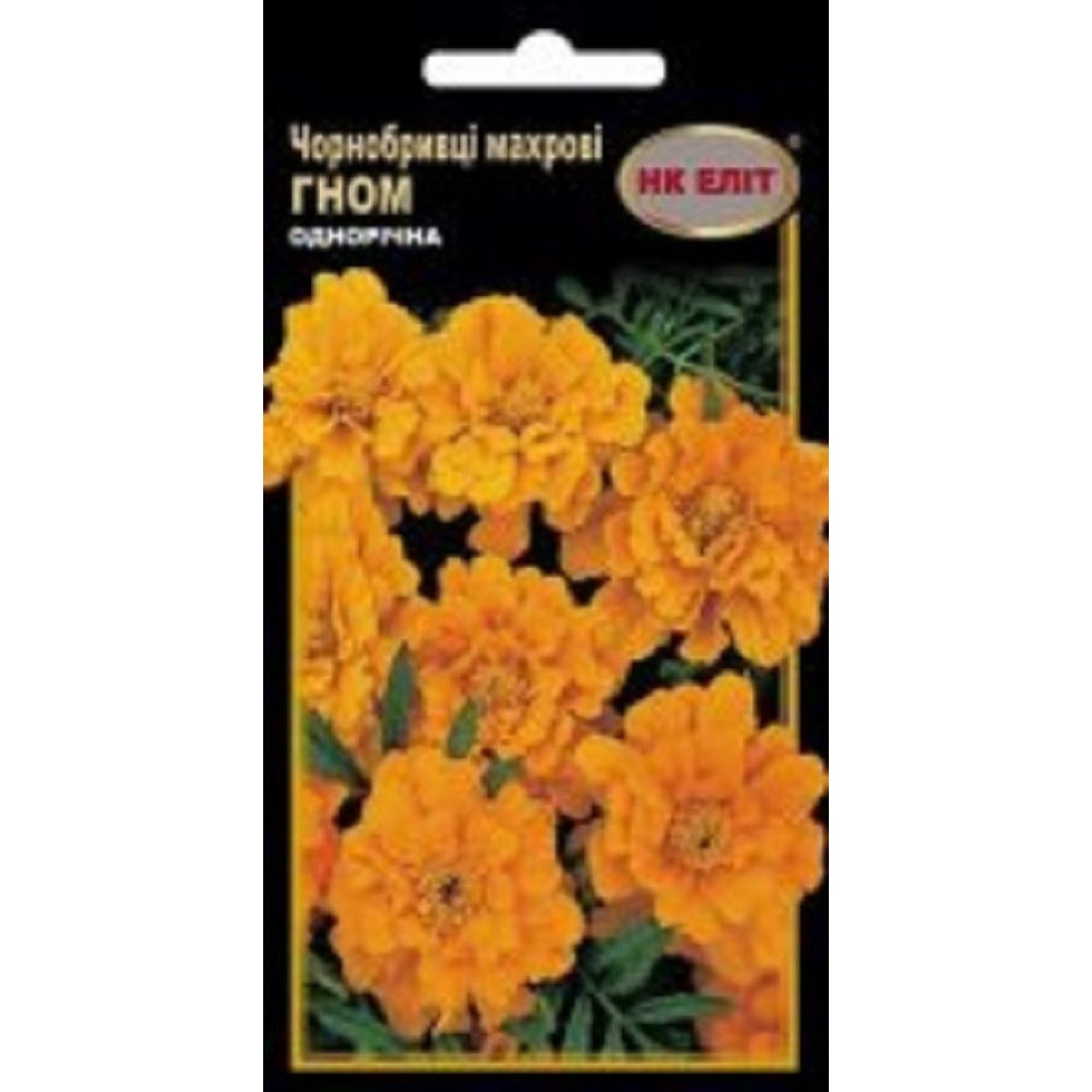 Чорнобривці Гном