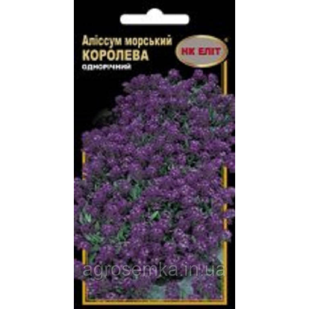 Аліссум Морський Королева 0.3г