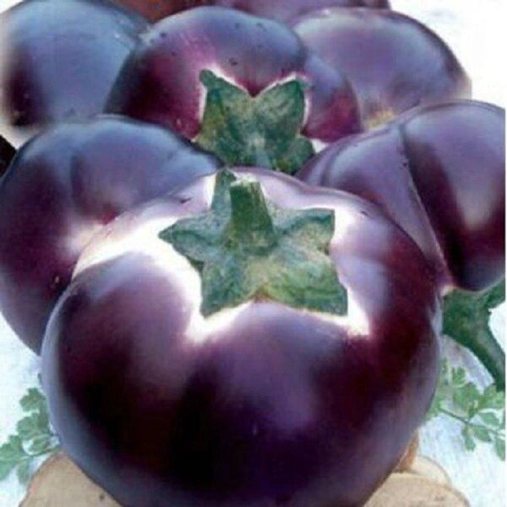 Баклажан Геліос 0,5 г