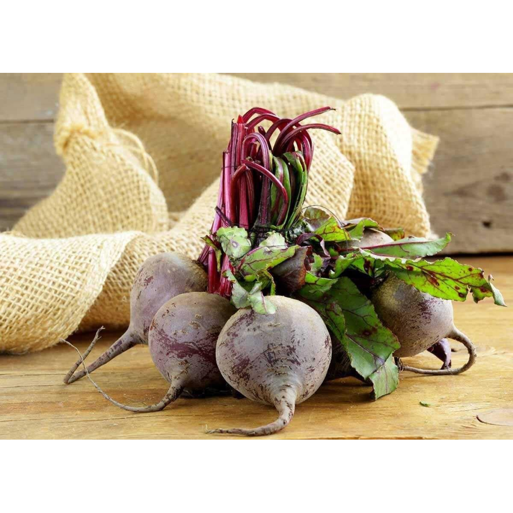 Буряк столова Бікорес 200шт / Bejo Zaden