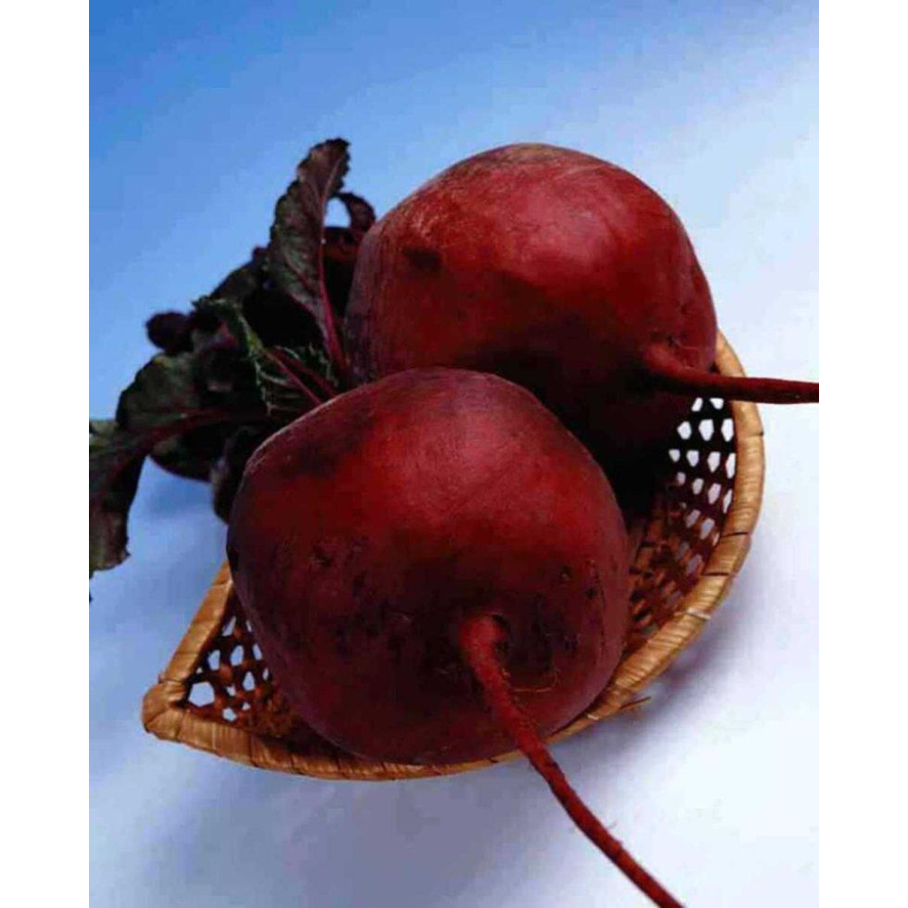 Буряк столова Детройт дарк ред 3г / United Genetics