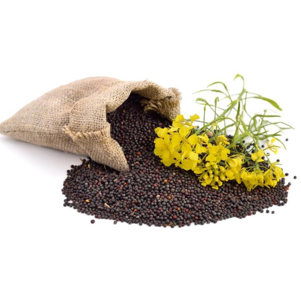 Семена Рапс озимий 1кг