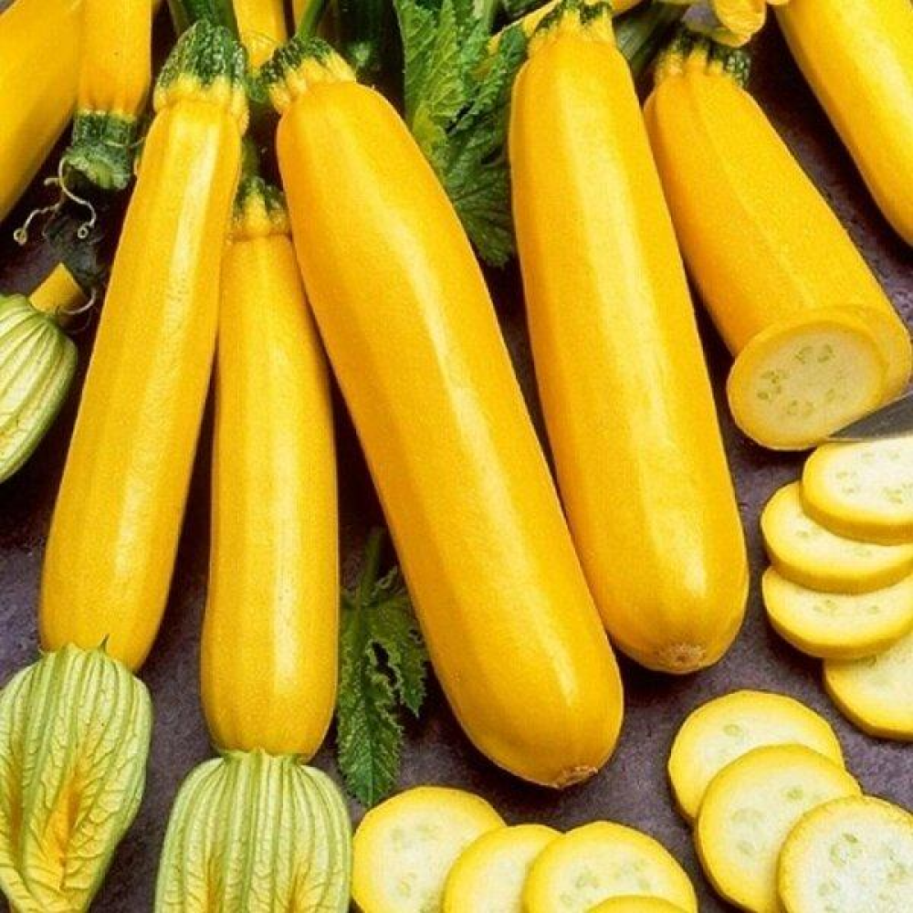 Кабачок Золотинка 20г