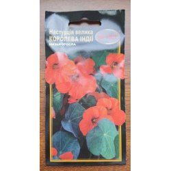 Настурція Королева Індії 10шт