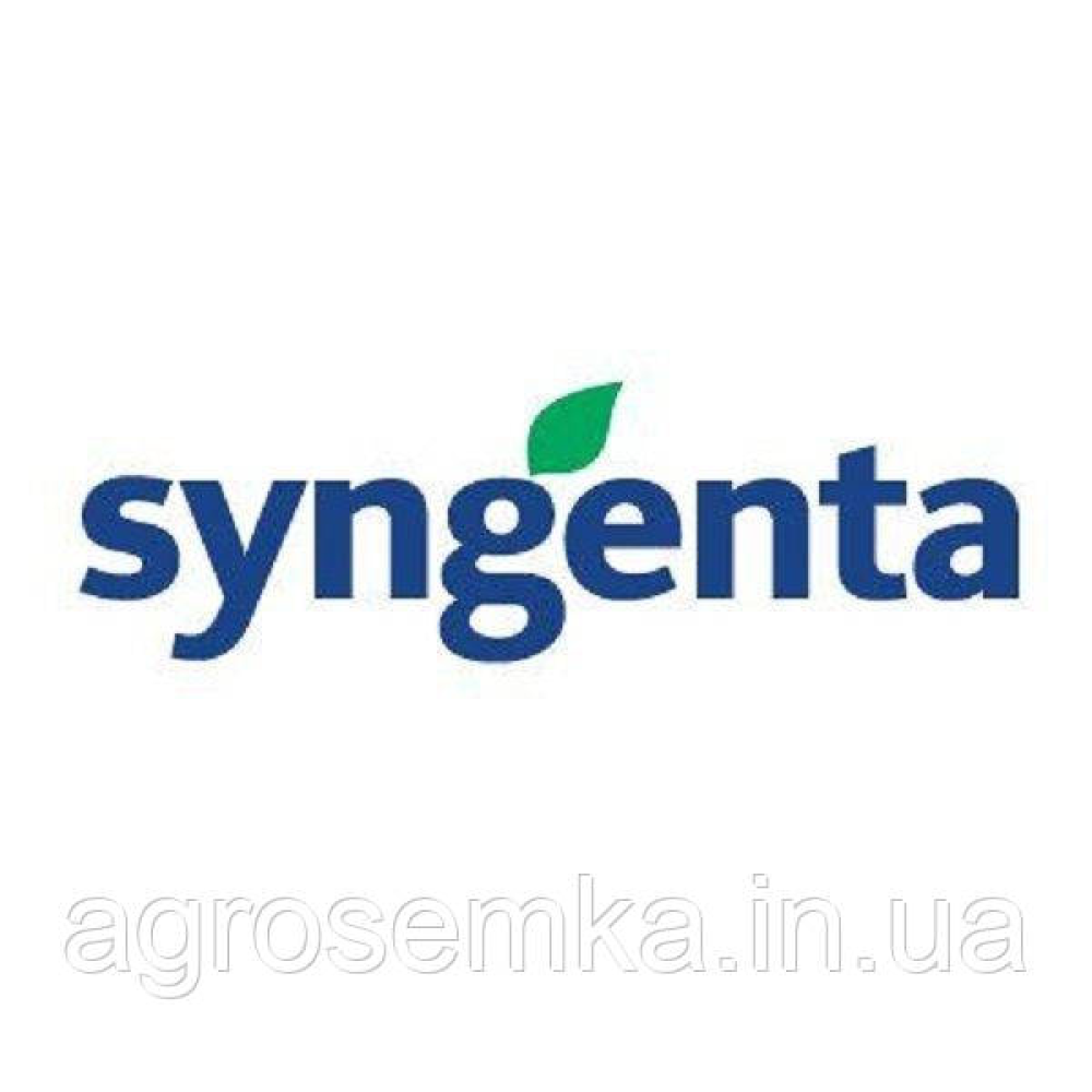 Горох Дакота 50 шт / Syngenta