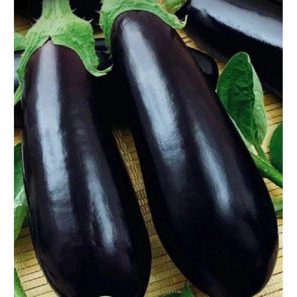 Насіння Баклажан Алмаз 0,5г