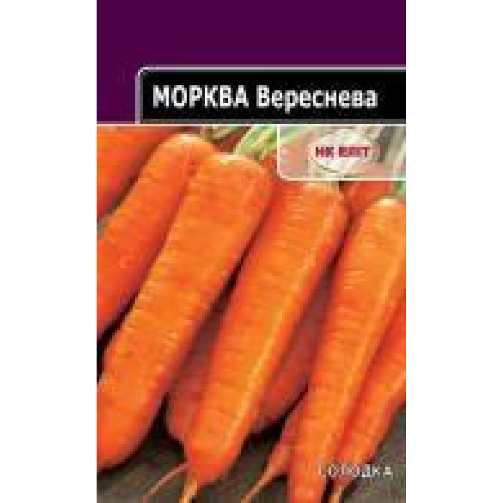 Морква Вереснева  20г