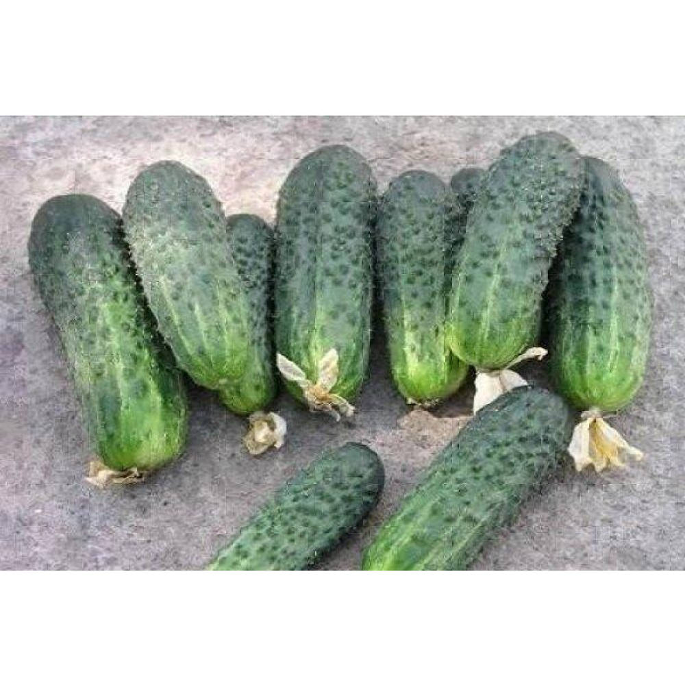 Огірок Крак 15 шт