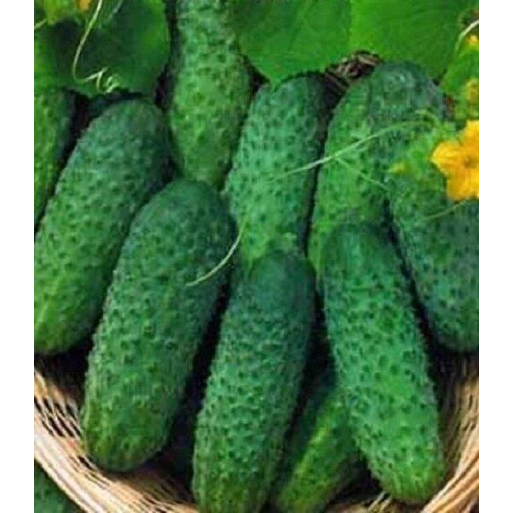 Огірок Крак 15 шт