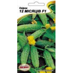 Огірок 12 місяців F1 /партенокарпік/ 10шт Огірок 12 місяців F1 /партенокарпік/ 10шт