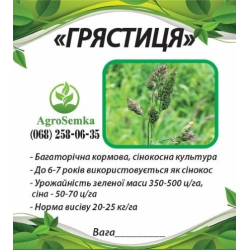 Насіння Грястица (Їжа збірна) сінокісна багаторічна посівна, 1кг