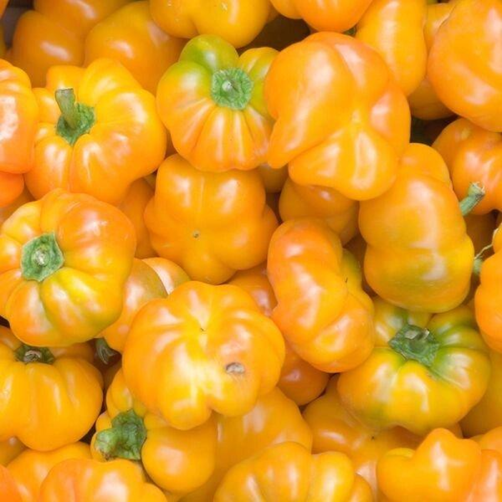 Перець Сонечко 0,3 г