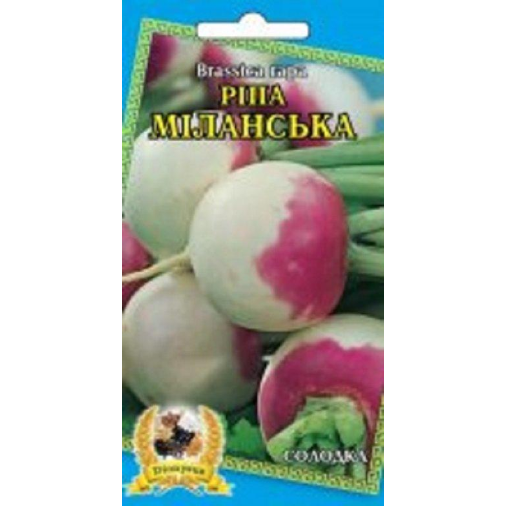 Ріпа Міланська 2г