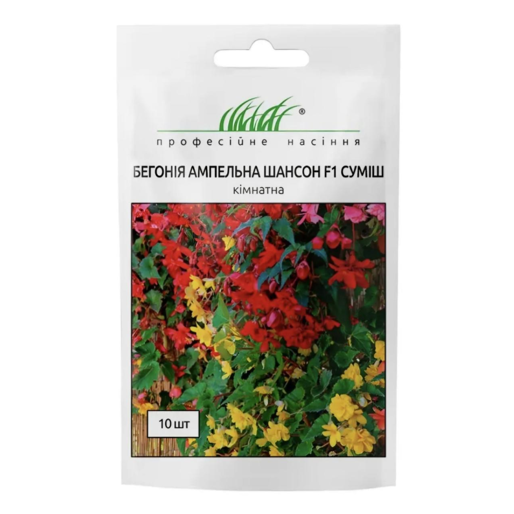 Бегонія бульбова ампельна Шансон F1 10шт / Cerny