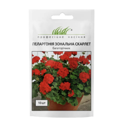 Пеларгонія зональна Скарлет 10шт / Hem Genetics