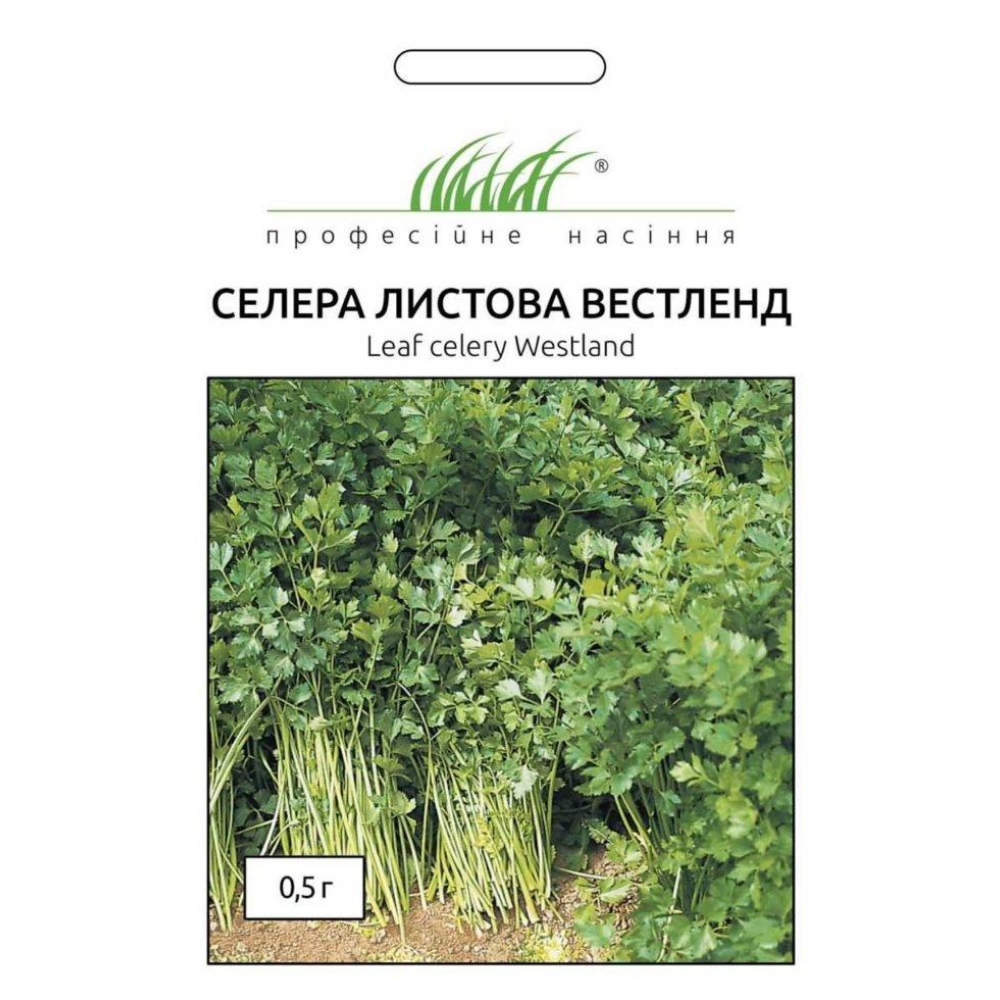 Листовий селера Вестленд 0,5 г / Hem Zaden