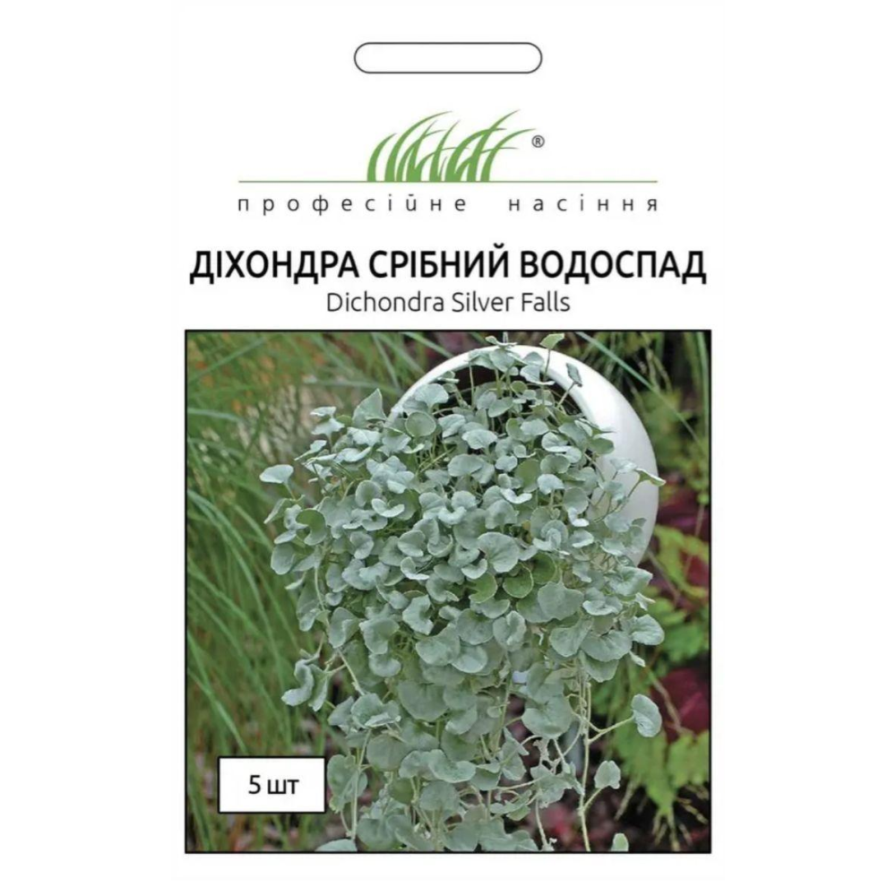 Діхондра Срібний водоспад 5шт / PanAmerican