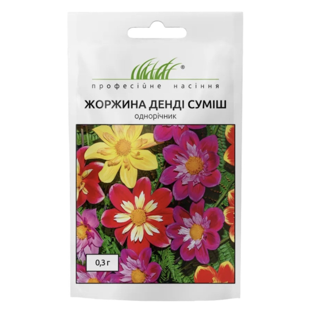 Жоржина низькоросла Денді 0.3г / W. Legutko