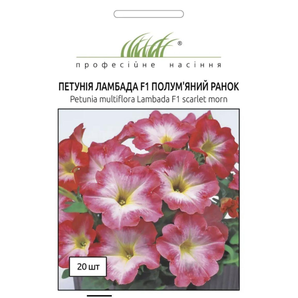Петунія Ламбада F1 20шт / Hem Genetics