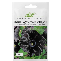 Петунія грандіфлора Софістика F1 блекберрі 5шт / PanAmerican