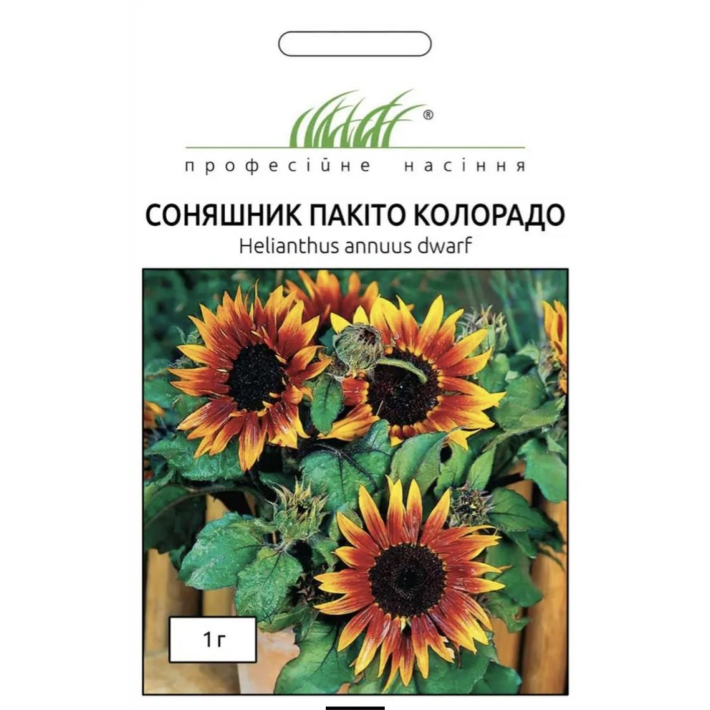Соняшник низькорослий Пакіто Колорадо 1г  / Hem Zaden