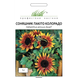 Соняшник низькорослий Пакіто Колорадо 1г  / Hem Zaden