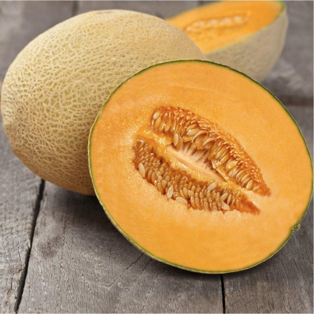 Диня Флоренція F1 8 шт / United Genetics