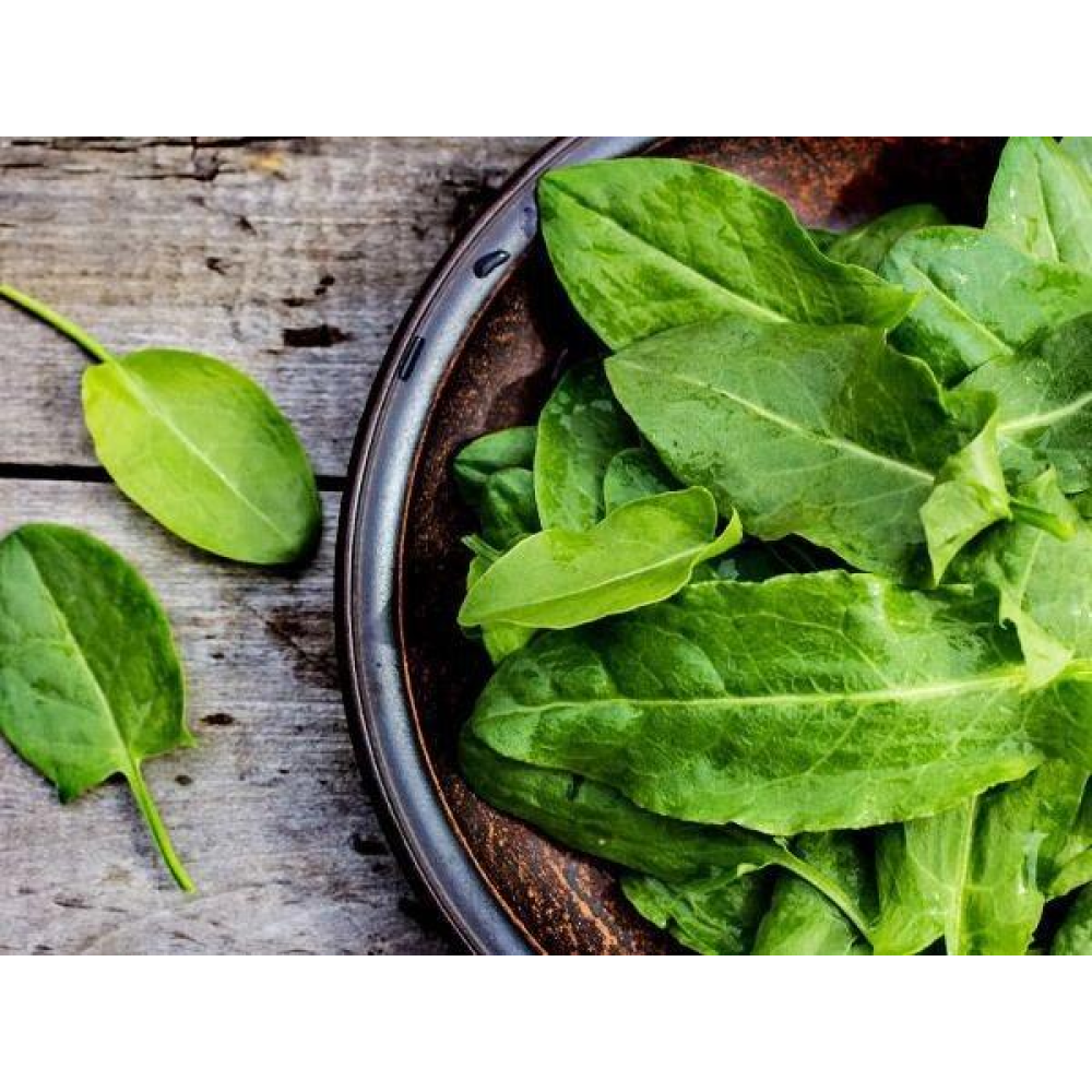 Насіння Щавель Одеський 1 г