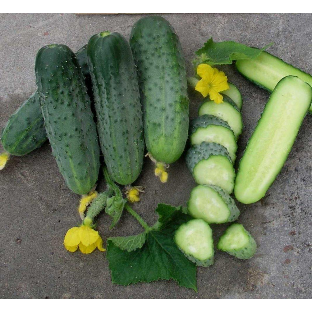 Насіння Огірок Аристократ F1 10шт / NongWoo Bio