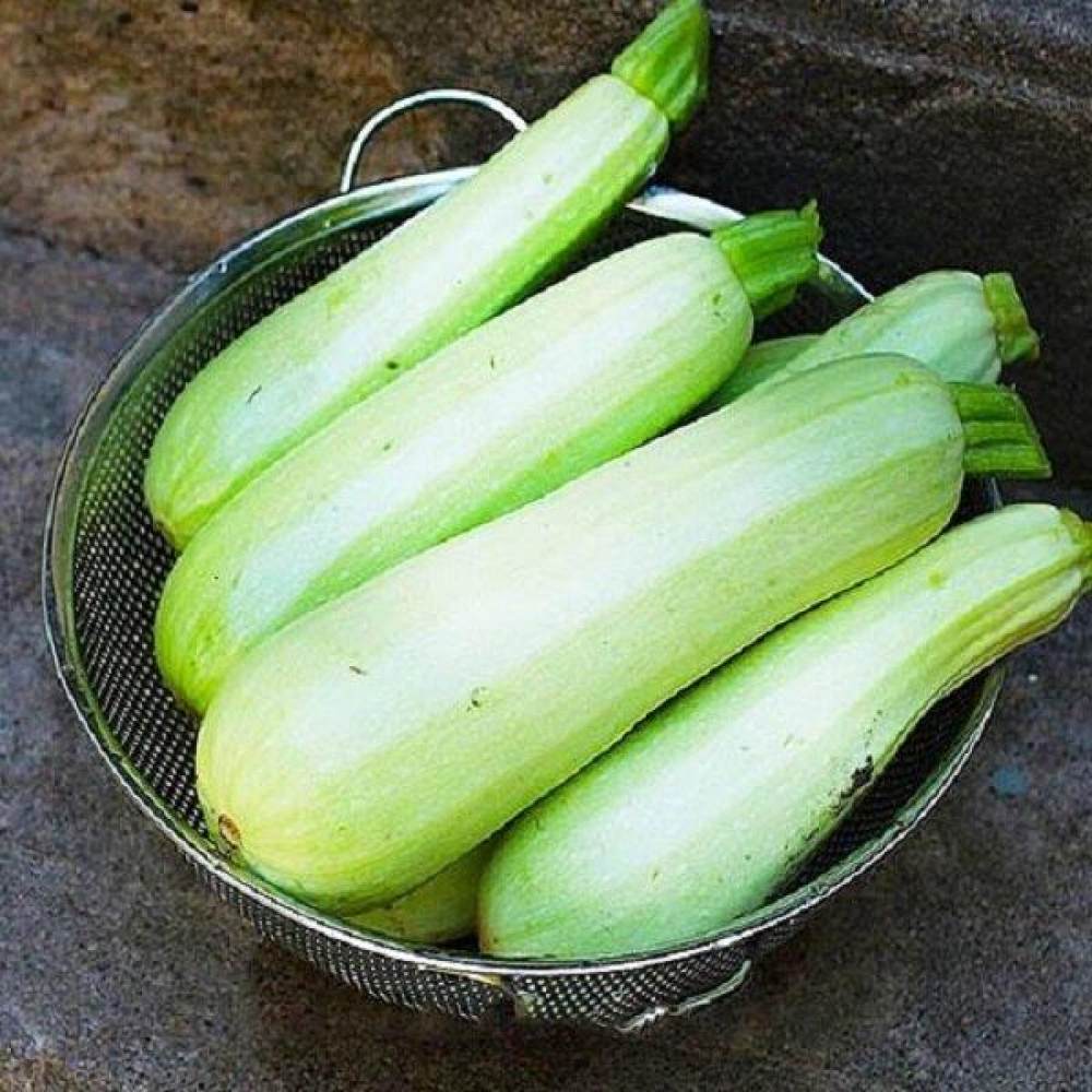 Кабачок Гайдамака 20шт