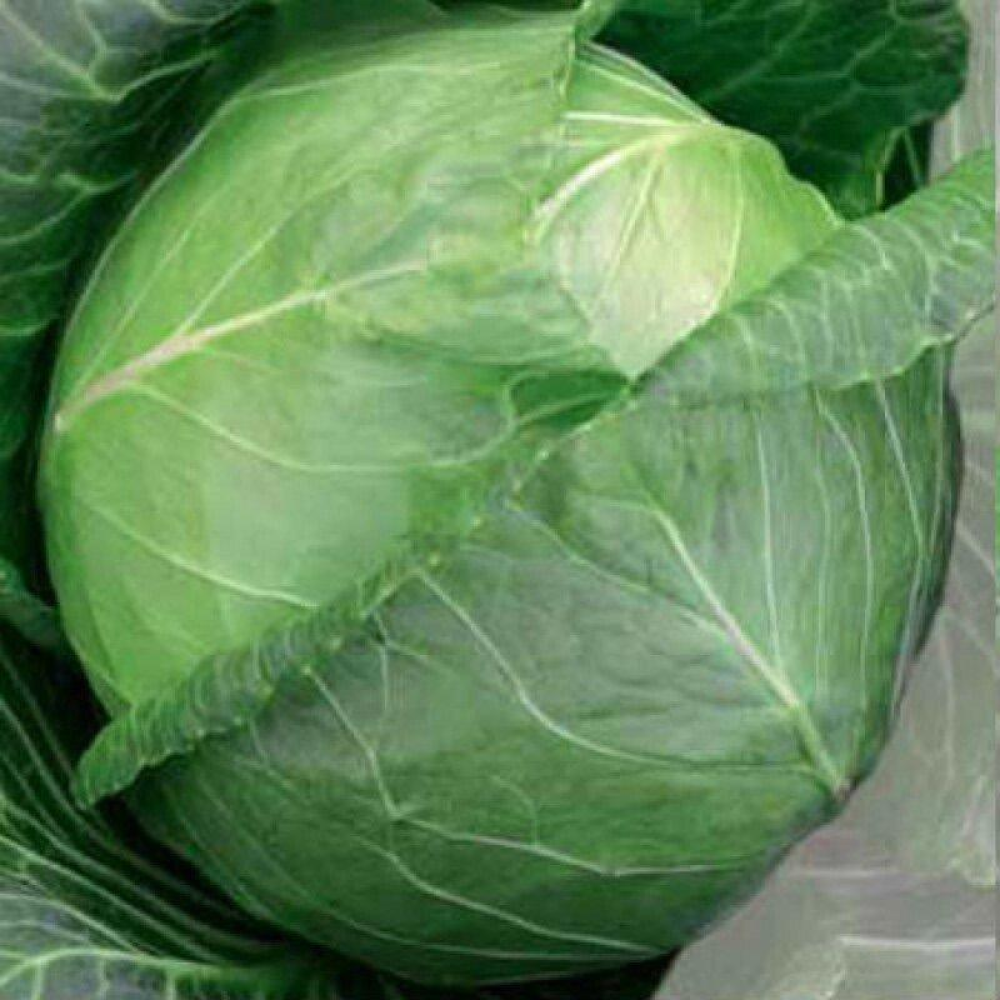 Капуста Тюркіс 5г