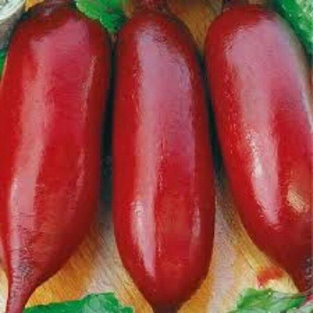 Буряк Командор 20г