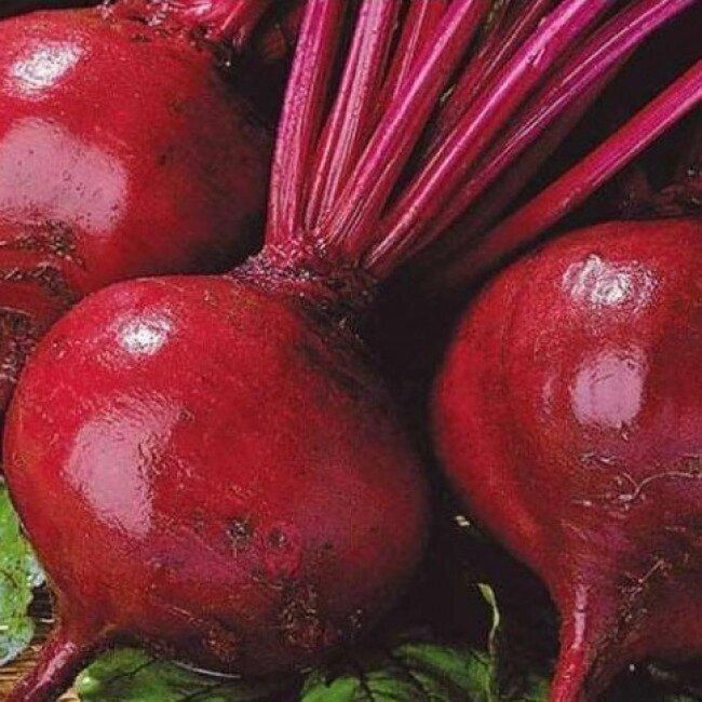 Буряк Кросбі 20г