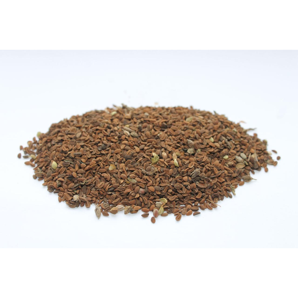 Насіння Фацелія, медонос, сидерат 1кг урожай 2024 р