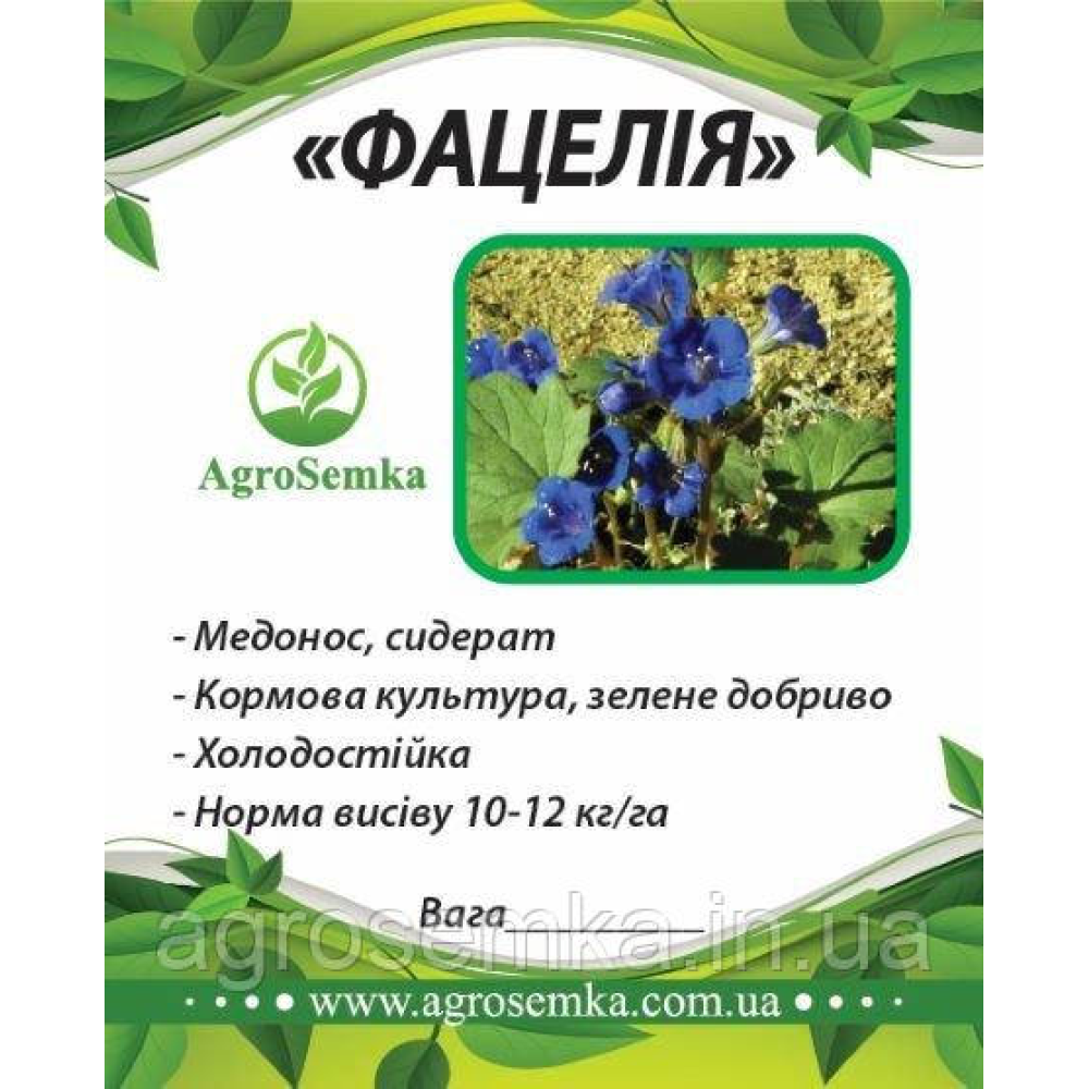 Насіння Фацелія медоносна посівна однорічна, 1кг урожай 2023р