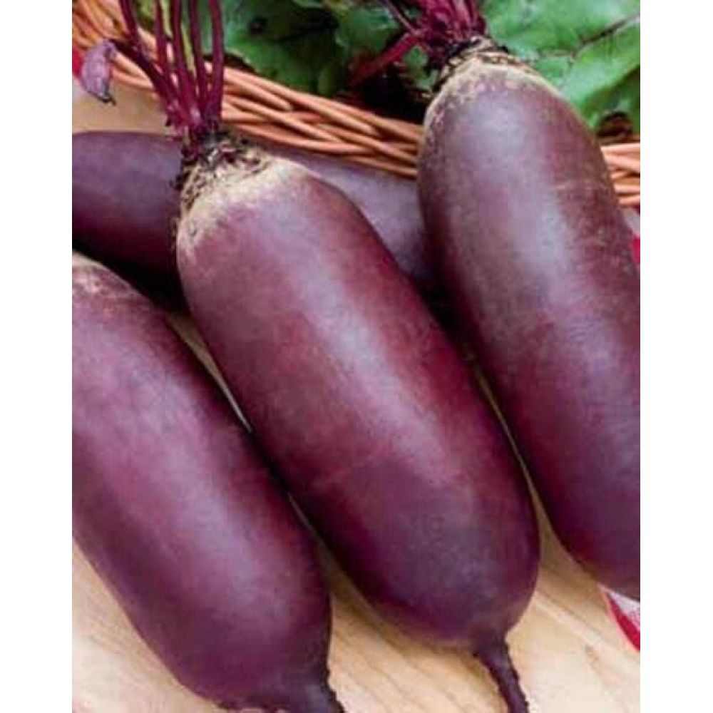 Буряк Отаман 20г