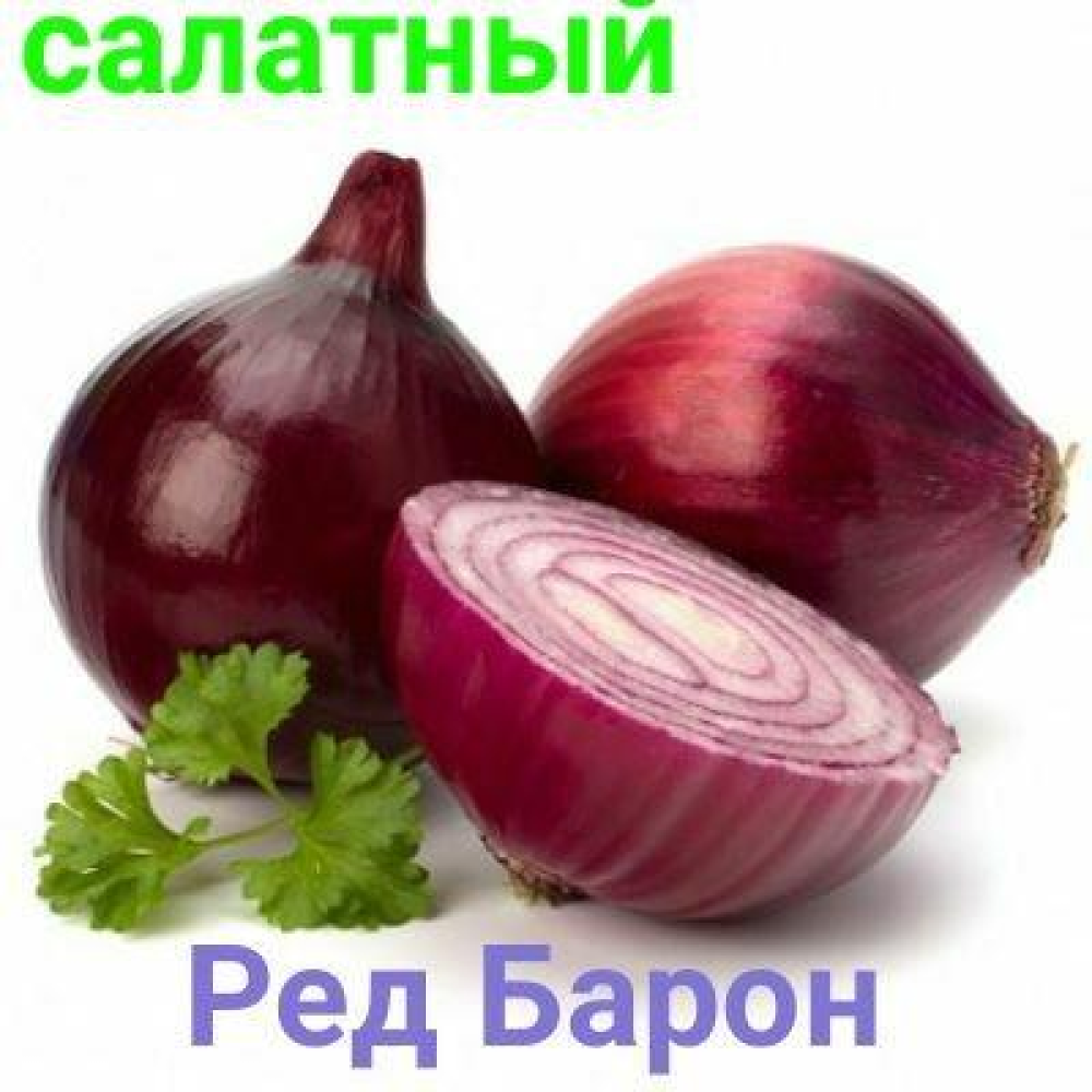 Озима цибуля сіянка Ред Барон 8/21 1кг / Broer