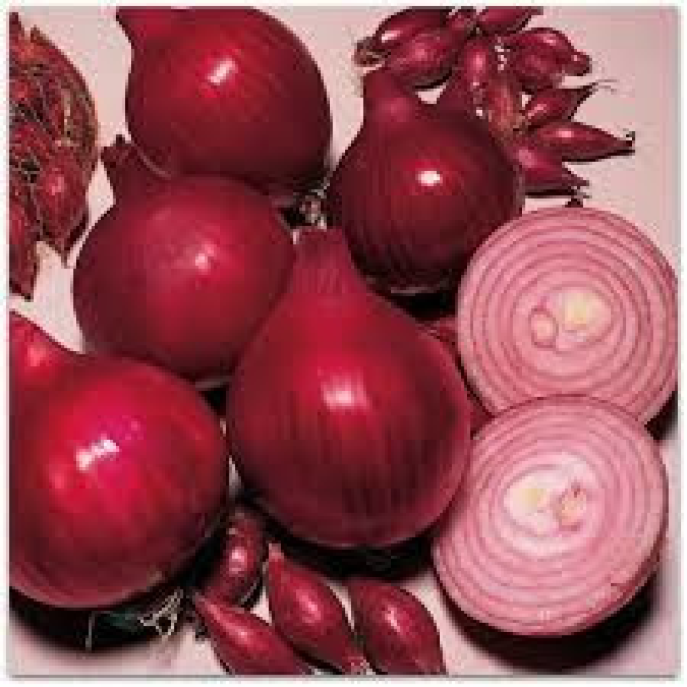 Озима цибуля сіянка Ред Барон 8/21 1кг / Broer