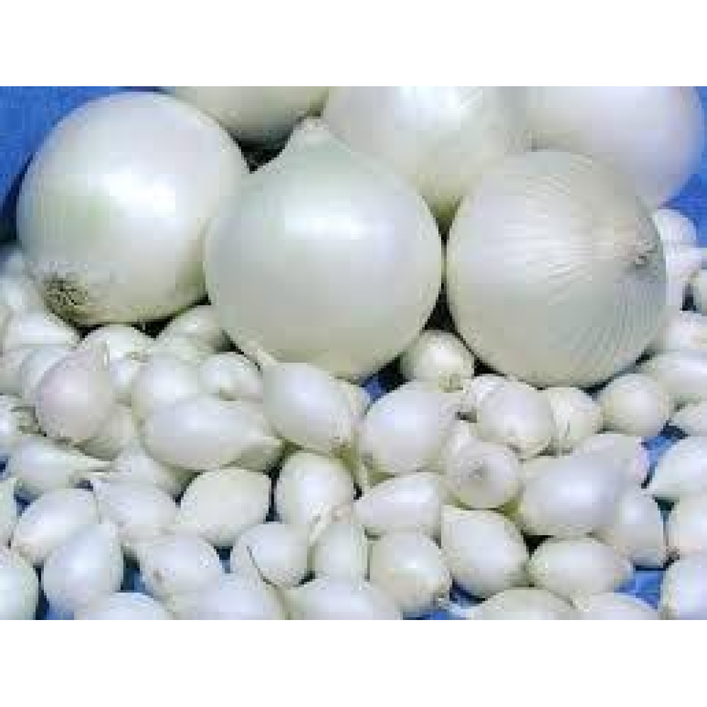 Озима цибуля сіянка Сноуболл (Snowball) 8/21 1кг/ TOP Onion Sets