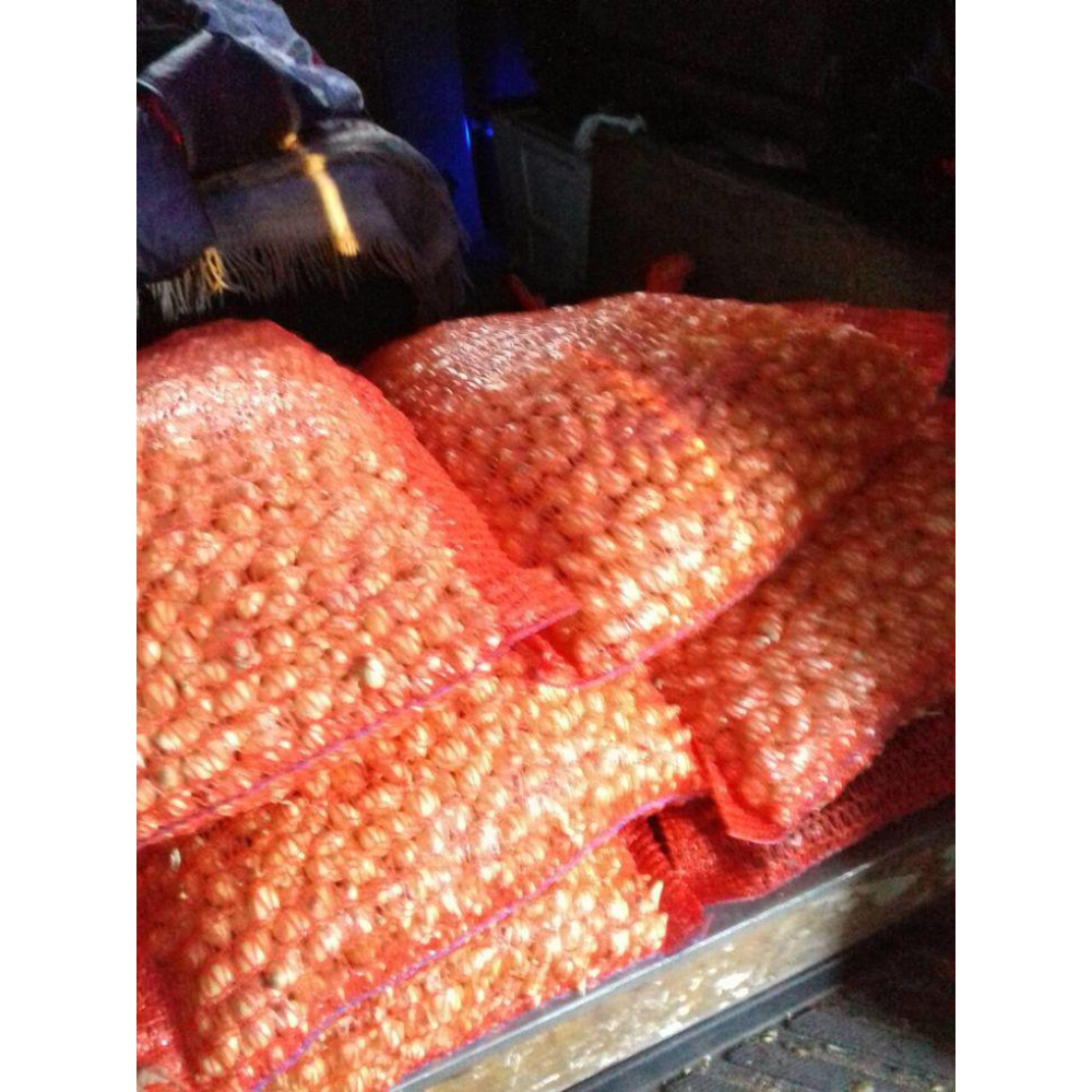 Озима цибуля сіянка Сноуболл (Snowball) 8/21 1кг/ TOP Onion Sets