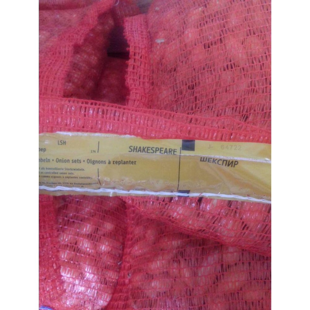 Озима цибуля сіянка Шекспір 8/16 1кг/ ТОР