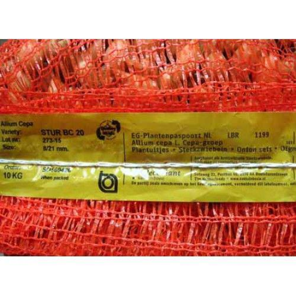 Цибуля сівок озима Штур БС 20 8/21 1кг / Broer