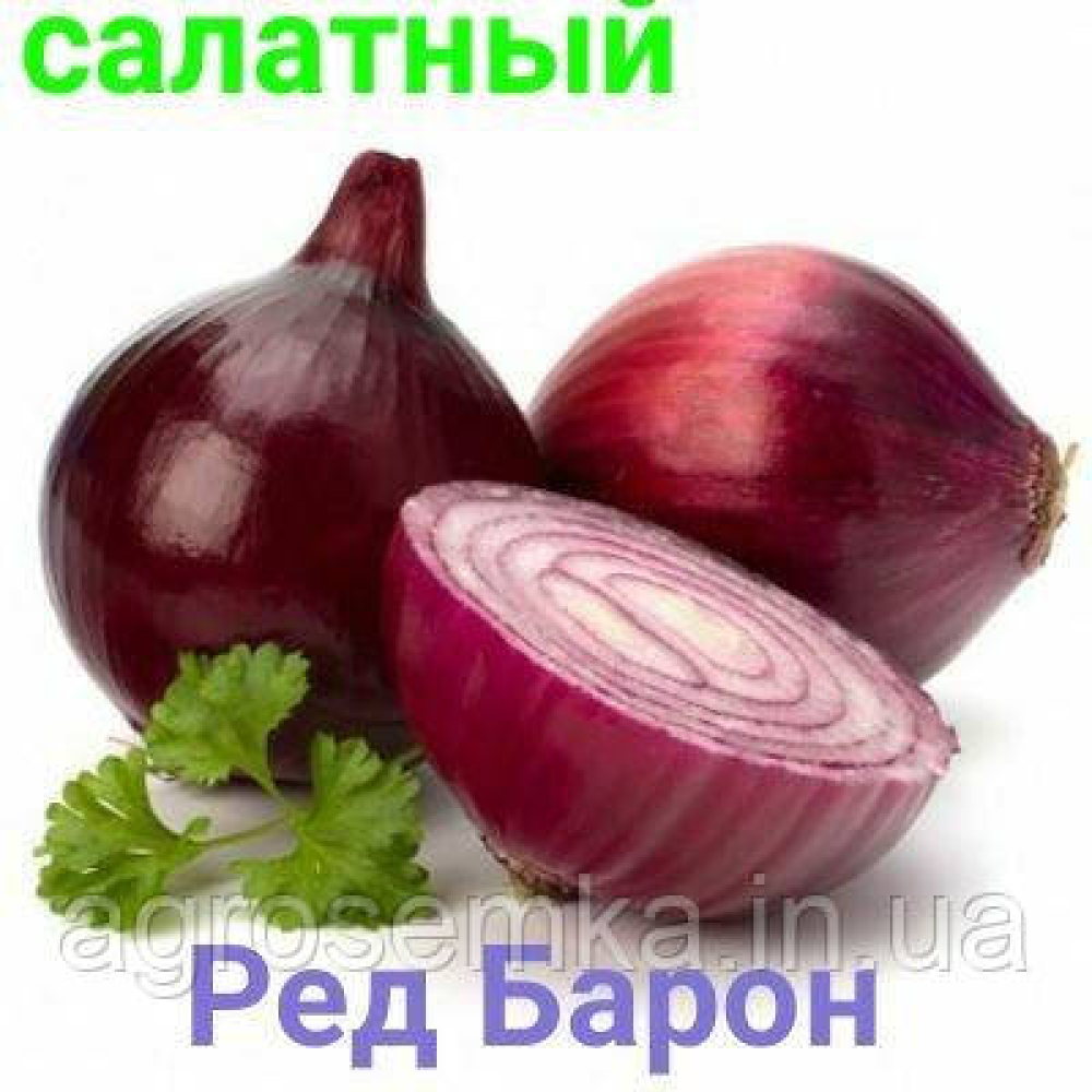 Озима цибуля сіянка Ред Барон 8/21 1кг / Broer